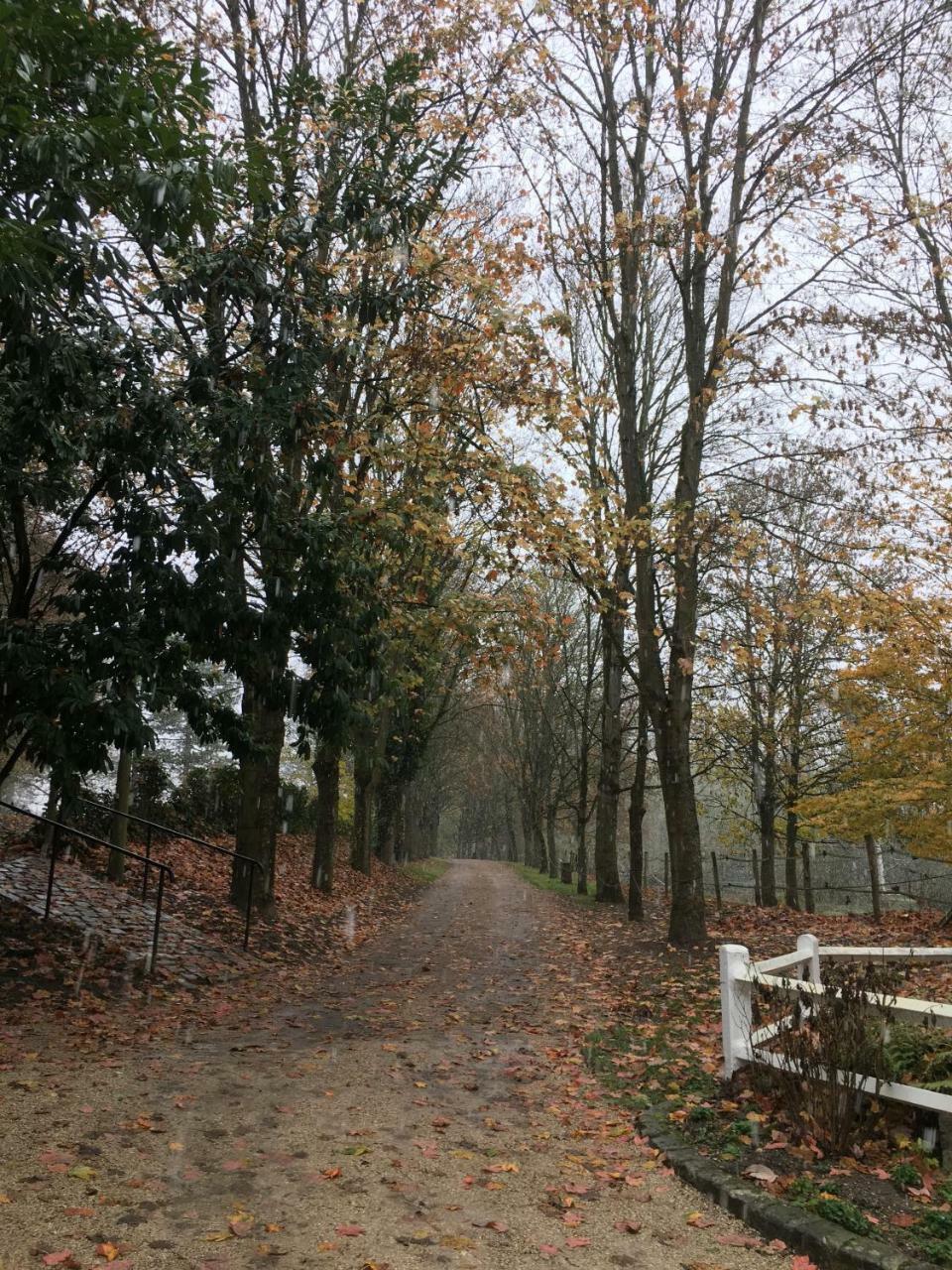 Moulin De Moulignon B&B メッシー エクステリア 写真